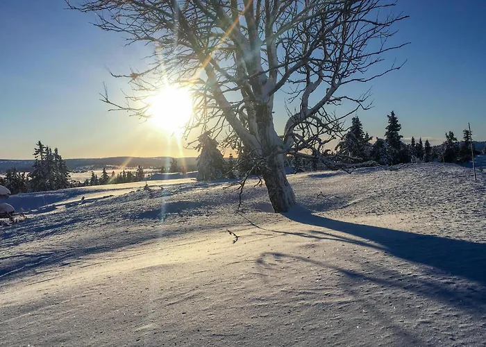 Сasa de vacaciones Beautiful In With Sauna Sjusjoen